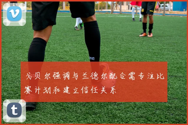 戈贝尔强调与兰德尔配合需专注比赛计划和建立信任关系